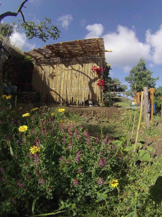Garden view